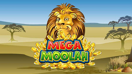 Mega Moola 슬롯